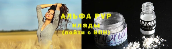 индика Абинск