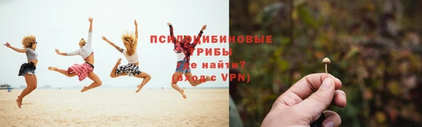 герыч Алзамай
