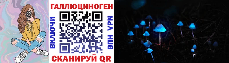 Псилоцибиновые грибы мицелий  где купить   Ейск 